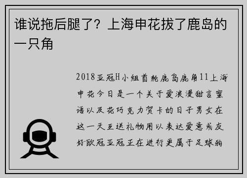 谁说拖后腿了？上海申花拔了鹿岛的一只角